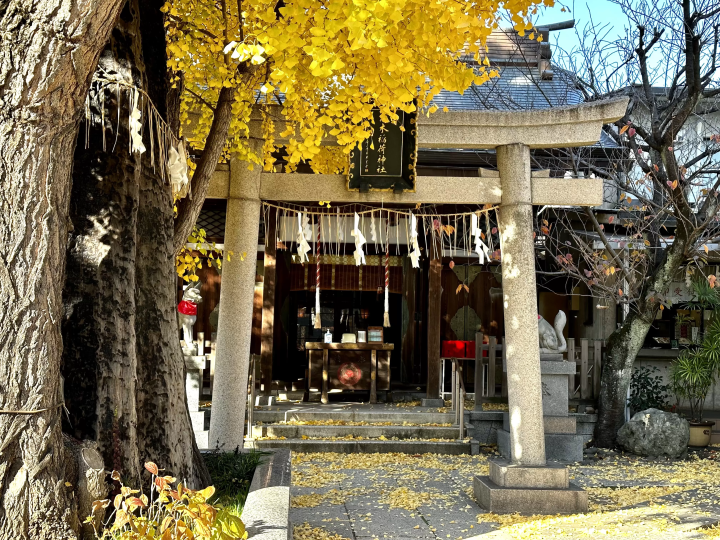 【押上】除了東京晴空塔外還有什麼?「押上」景點、交通、購物、住宿、美食全攻略!