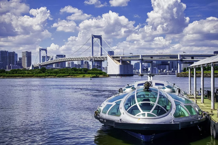 4 Ways to Access Odaiba in Tokyo: Monorail, Train, Bus, and on Foot