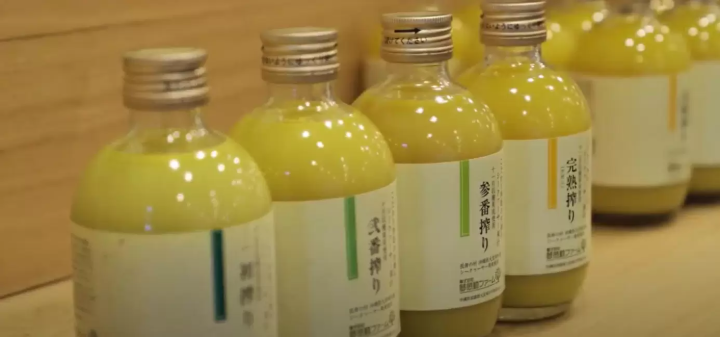 얀바루의 매력을 만끽! 오키나와현 본섬 북부의 절경 드라이브 코스