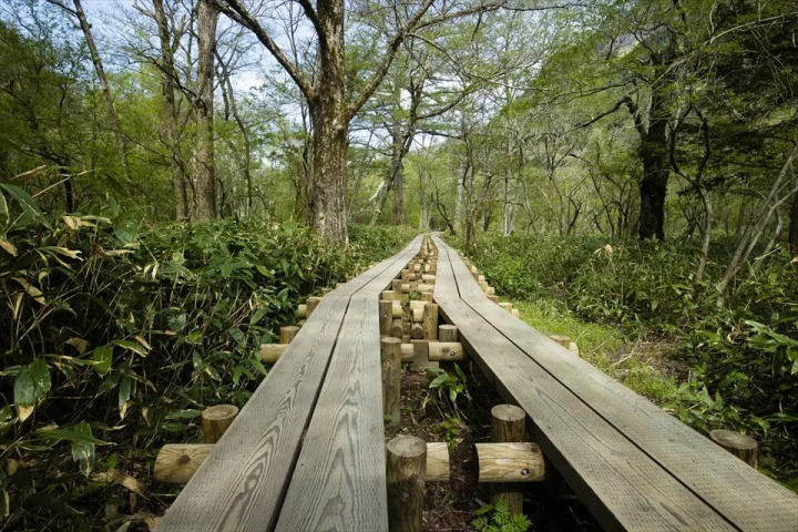 Let's go hiking in Kamikochi! Let's go hiking in Kamikochi!