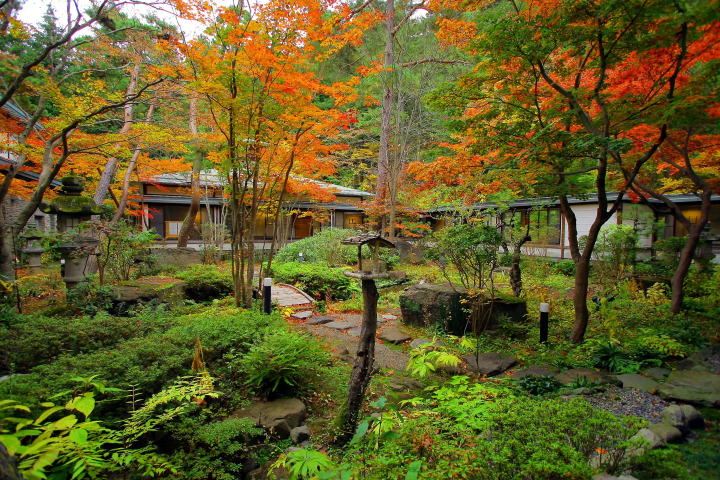 【나가노 / 관광 / 온천] 세계에서 유일하게 온천에 들어가는 야생 원숭이 "스노 원숭이"! 겨울만의 풍물시를 보러 가자!