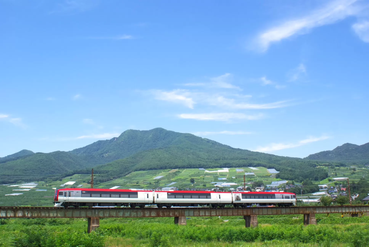 【나가노 / 관광 / 온천] 세계에서 유일하게 온천에 들어가는 야생 원숭이 "스노 원숭이"! 겨울만의 풍물시를 보러 가자!