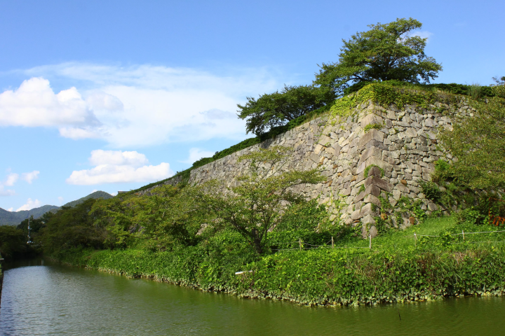 [Experience the feeling of being a feudal lord at a Japanese castle] Sasayama Castle University Shoin - Filming location for the movie "The LEGEND & BUTTERFLY"
