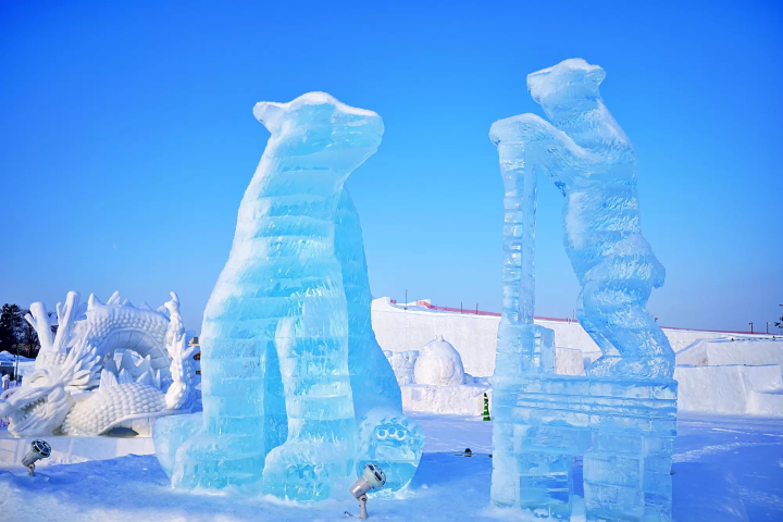 冬に訪れるなら要チェック！日本全国雪まつり10選(2024年版)【北海道・新潟・青森・秋田・岩手・栃木】