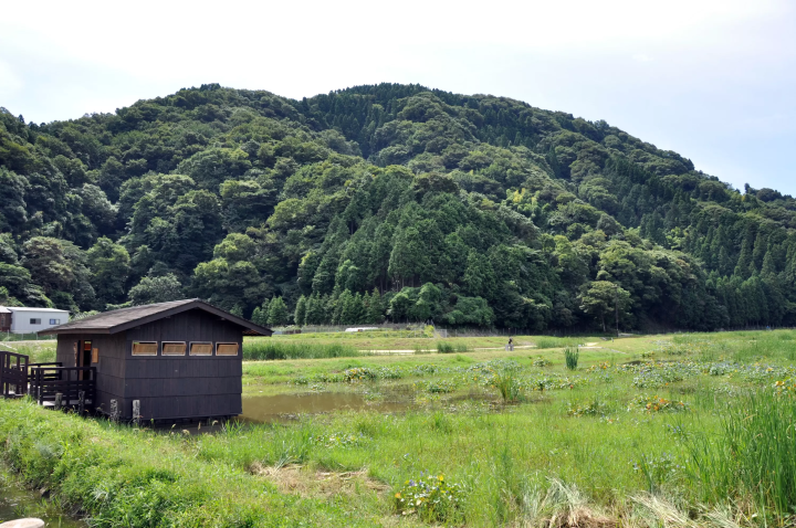 ▲戸島湿地に浮かぶ野鳥観察棟（左） 