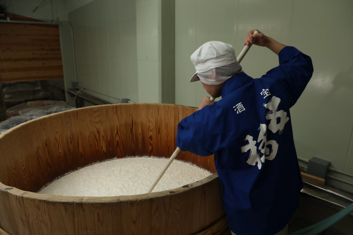 [Iwakuni City, Yamaguchi Prefecture] Taste “SAKE” created by five sake breweries in Iwakuni, the village of famous water!