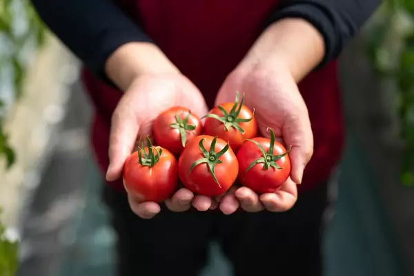 【九州远征队博多大丸】～鹿儿岛县南萨摩博览会～