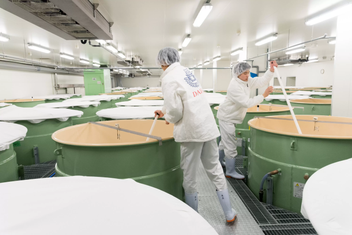 [Iwakuni City, Yamaguchi Prefecture] Taste “SAKE” created by five sake breweries in Iwakuni, the village of famous water!