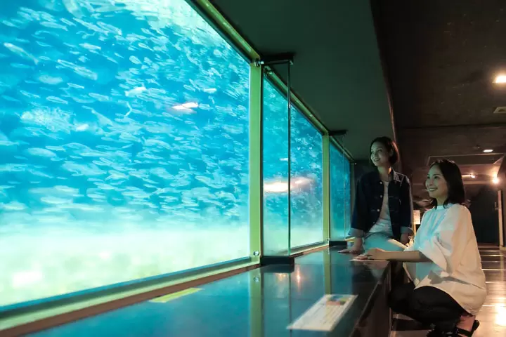 [About 3 hours from Tokyo] 5 things to do in Murakami City, Niigata Prefecture