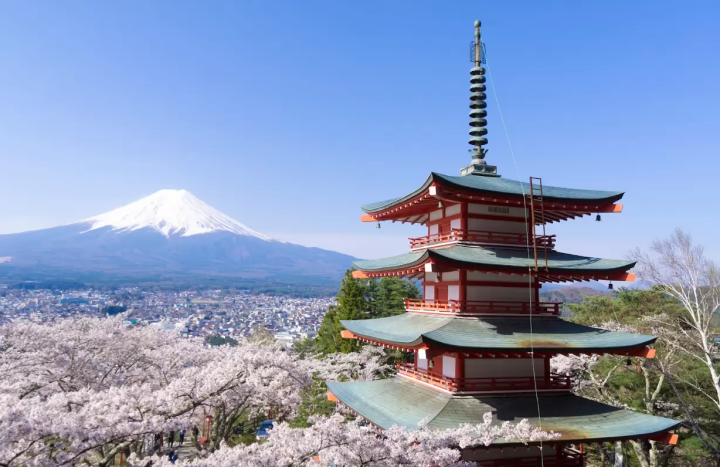 [Yamanashi] The charm of Mt. Fuji and Lake Kawaguchi! Recommended sightseeing spots in Yamanashi that you can experience with a rental car