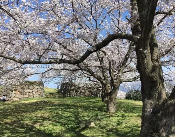 【鳥取県】米子市屈指の絶景ポイント「米子城跡」で360度パノラマビューを楽しもう