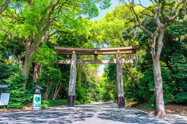【2024最新】東京自由行一次就上手！必去10大景點、天數推薦、美食與近郊景點通通掌握