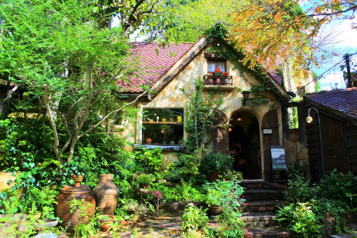 【2024最新】東京自由行一次就上手！必去10大景點、天數推薦、美食與近郊景點通通掌握