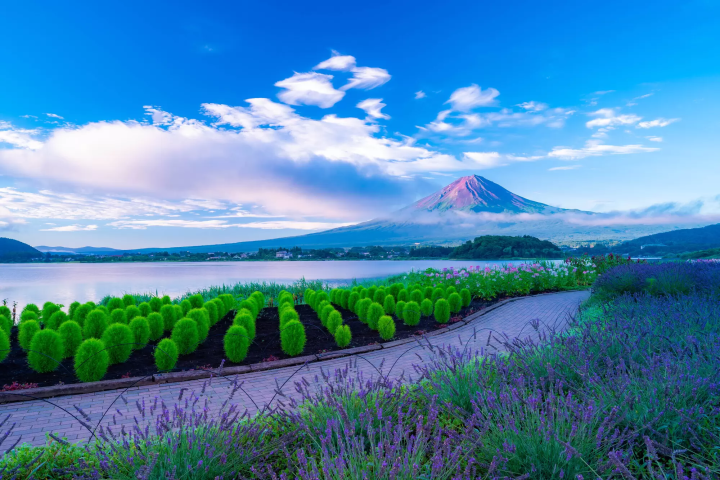 【2024最新】東京自由行一次就上手！必去10大景點、天數推薦、美食與近郊景點通通掌握