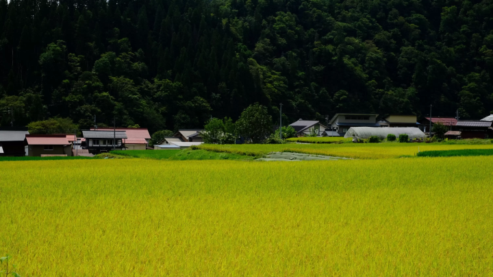 จิบและสนับสนุน! Sake Sensations สำหรับแผ่นดินไหวโนโตะ (ทาคายามะ)