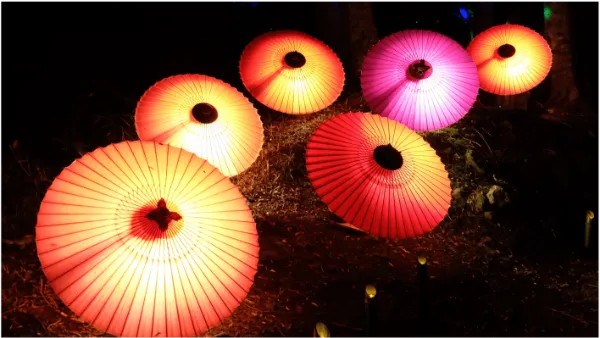 漫步在充满梦幻灯光的秩父～秩父夜街绫漫步～龙之漫步～冬季的灿烂～