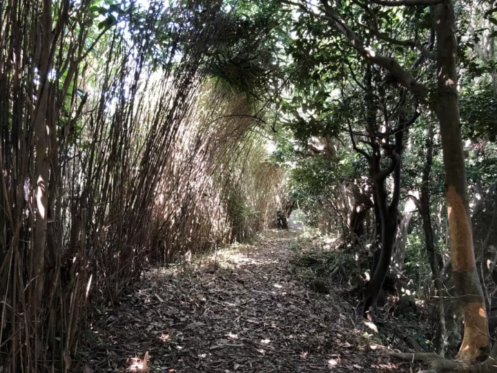 瞄準兵庫縣最北端！ [貓崎半島]