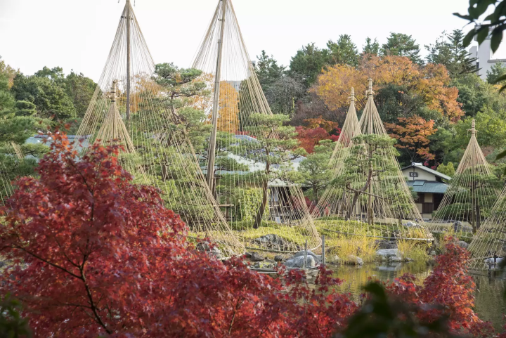 共有三个庭园：白鸟庭园、德川庭园、二之丸庭园，风景区！照片是热田区的“天鹅花园”。 