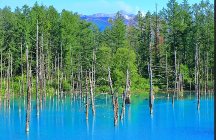 【北海道】充分享受夜景和自然魅力：推薦旅遊景點和租車指南