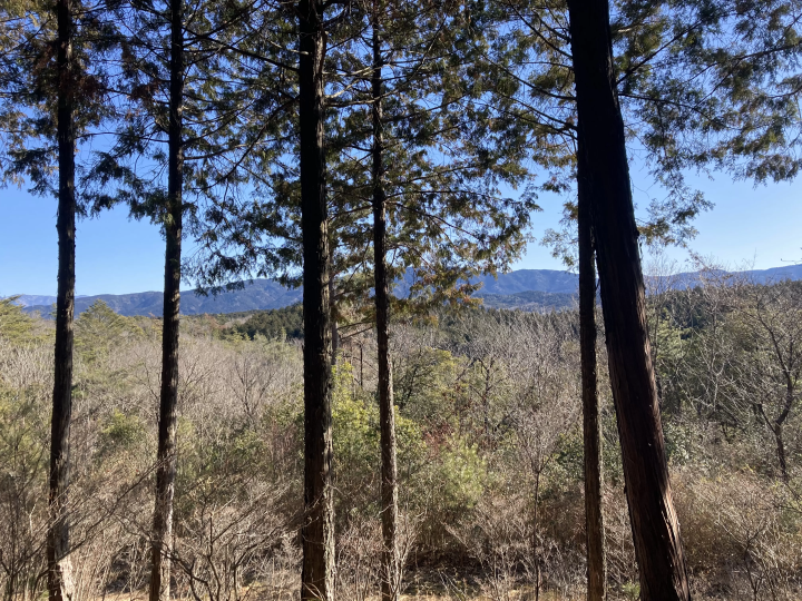 从竹并站到惠那站 - 中山道路线介绍 - 第 2 部分