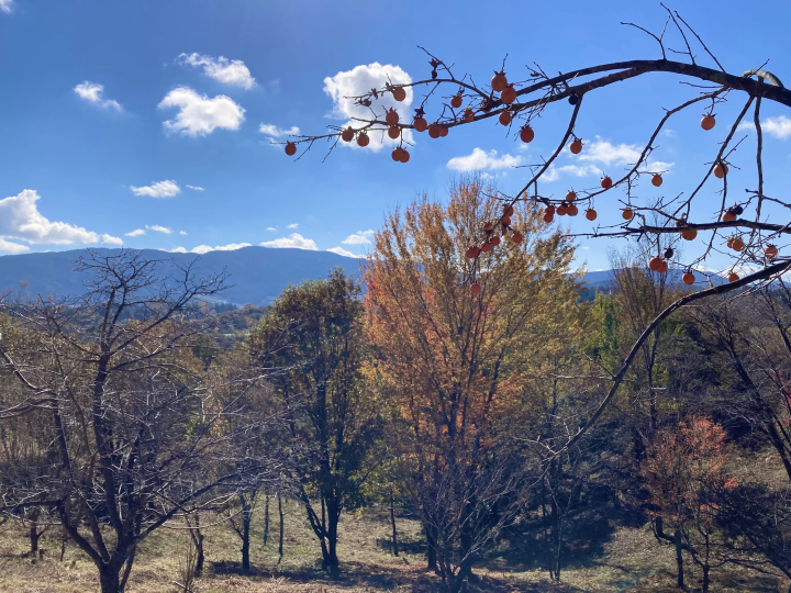 从竹并站到惠那站 - 中山道路线介绍 - 第 2 部分