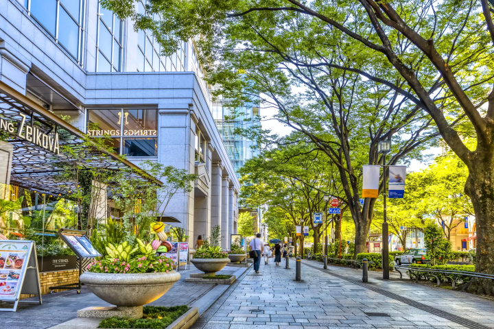 Omotesando