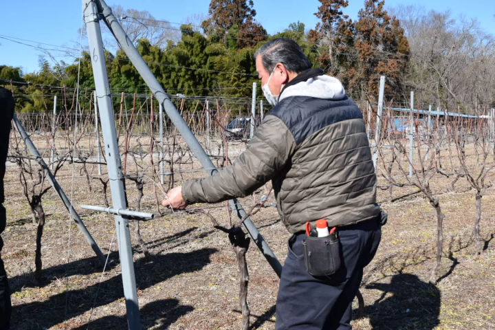 秩父酒探索之旅①（宇陀酿酒厂）