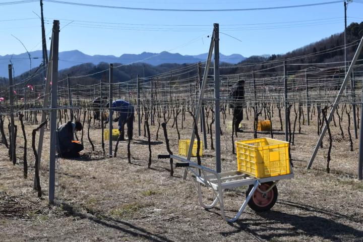秩父酒探索之旅①（宇陀酿酒厂）