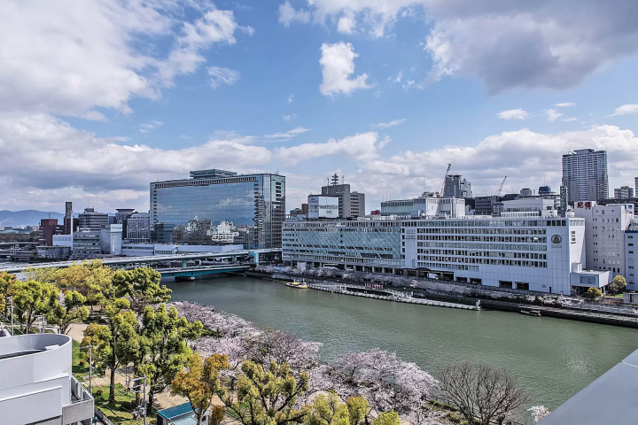 [Spring 2025] Osaka cherry blossom viewing guide! 5 cherry blossom viewing spots worth visiting