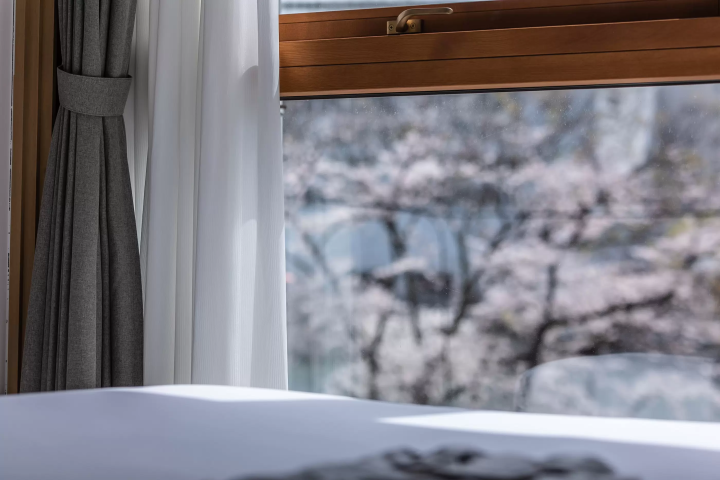 [Spring 2025] Osaka cherry blossom viewing guide! 5 cherry blossom viewing spots worth visiting