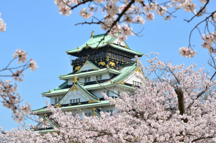 [Spring 2025] Osaka cherry blossom viewing guide! 5 cherry blossom viewing spots worth visiting