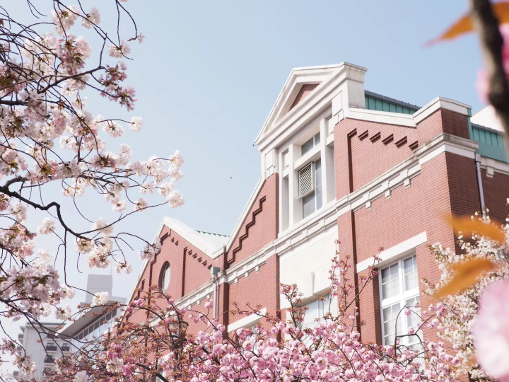 [Spring 2025] Osaka cherry blossom viewing guide! 5 cherry blossom viewing spots worth visiting