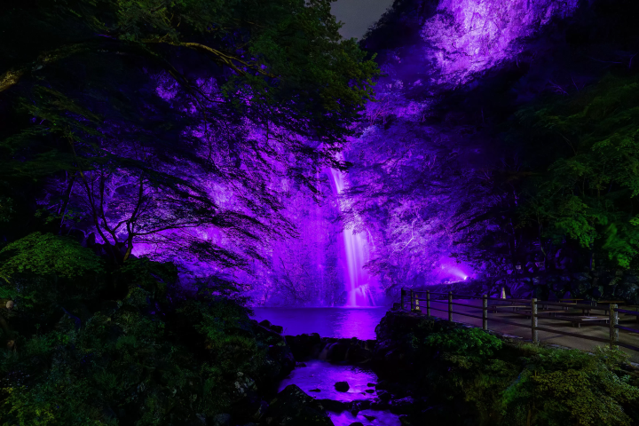 明治の森箕面国定公園 Winterプロムナード