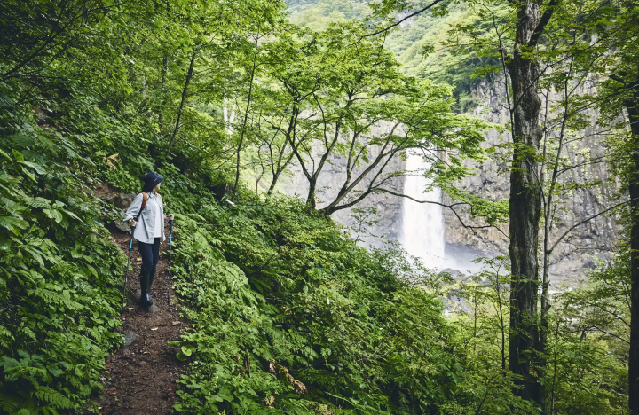 當你穿過潮濕的森時，你會看到咆哮的苗名瀑布。 