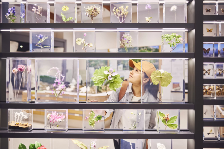 【AMATOMI歩道的徒步旅行】妙高戶隱連山國家公園長途步道（長野縣/新潟縣）