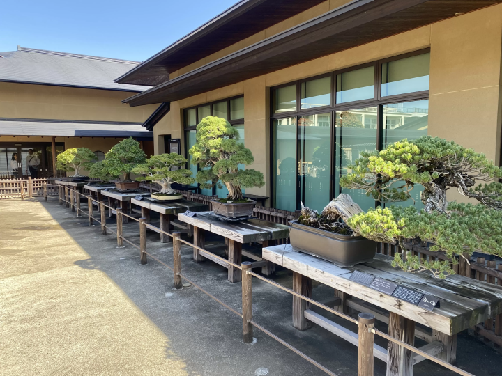 さいたま市大宮盆栽美術館 