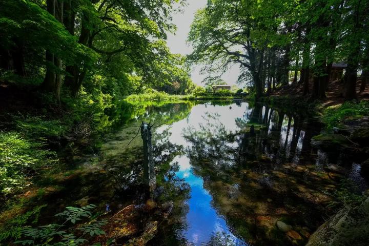 The Dance of the Dragon! 14 Places to celebrate The year of the Dragon in Japan