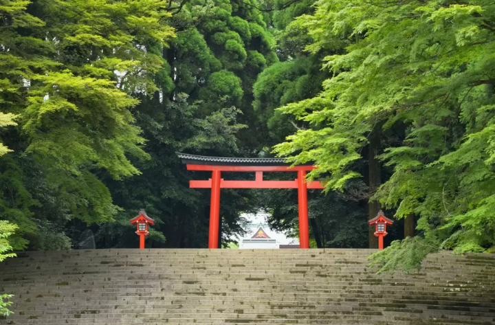 [Kagoshima] Beautiful nature of Yakushima and Amami Oshima! Recommended tourist spots and rental car guide