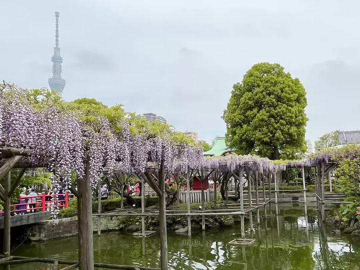 （照片摄于2023年4月23日/©︎Traveler Tokyo） 