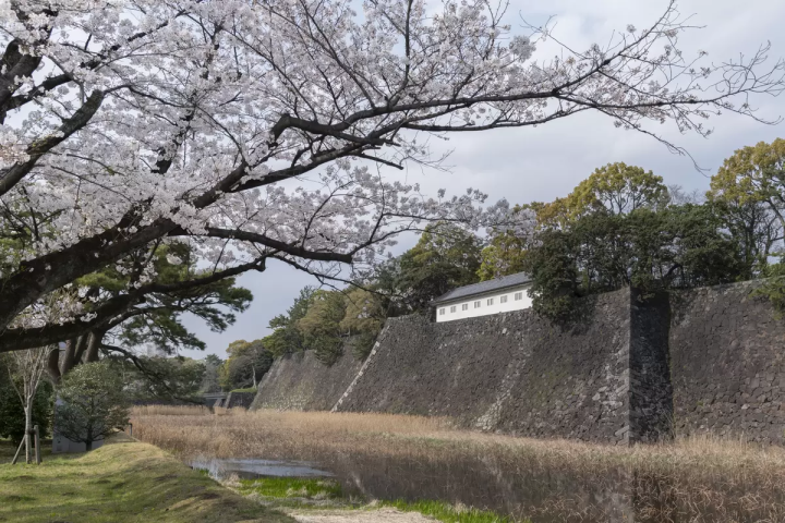 これを読めば、皇居観光はバッチリ！吹上御苑の「皇居一般参観ツアー」