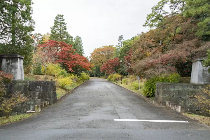 これを読めば、皇居観光はバッチリ！吹上御苑の「皇居一般参観ツアー」