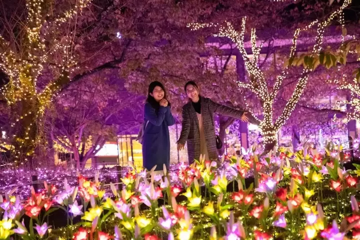 Dazzling Valentine's Day Destinations in Hiroshima, Osaka, Tokyo, Hokkaido, and Fukuoka