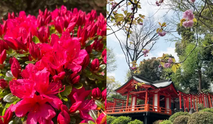 （照片拍摄于2022年4月9日/©︎Traveler Tokyo） 