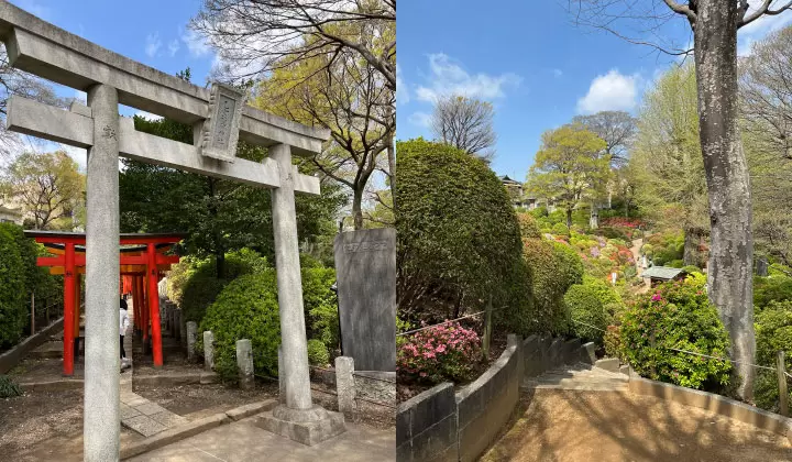 （照片拍摄于2022年4月9日/©︎Traveler Tokyo） 