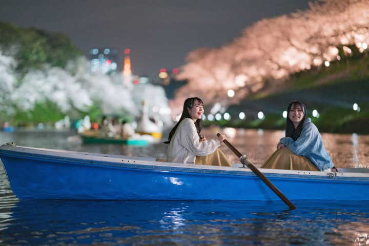 도쿄·치토리가후치 “지요다의 벚꽃 축제” 라이트 업 된 벚꽃의 절경을 만끽