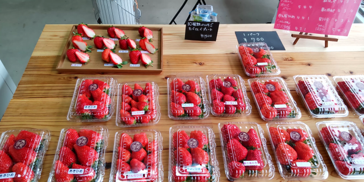 いちご🍓の食べ比べしてみよう♬