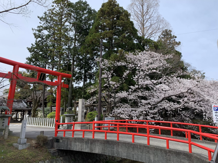 お酒好き必見！京都から日帰りで滋賀県の酒造を巡るおすすめモデルコース