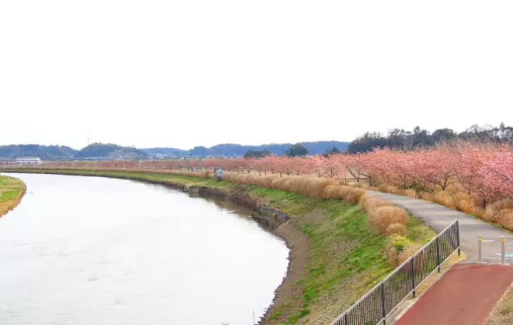 [千葉縣] 多古町、觀光景點、景點、土特產等完整指南