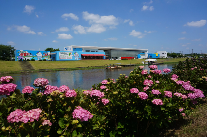 [千葉縣] 多古町、觀光景點、景點、土特產等完整指南