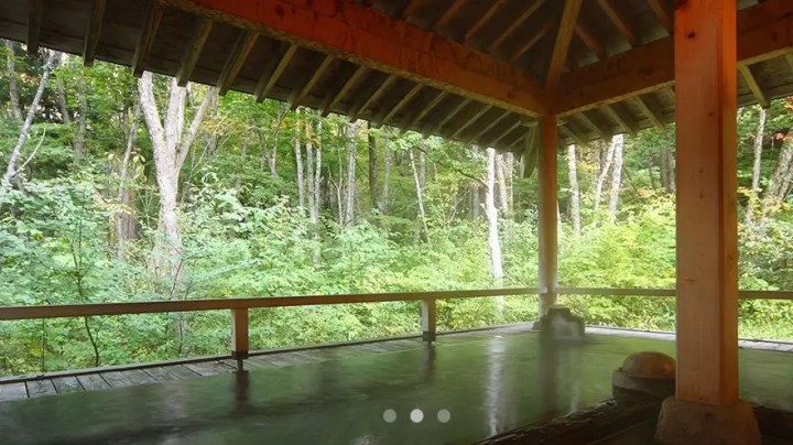 คุณสามารถเพลิดเพลินไปพร้อมกับเส้นทางแอลป์ทาเตยามะคุโรเบะได้! 5 แหล่งน้ำพุร้อนแบบไปเช้าเย็นกลับในย่านเมืองโอมาจิ จังหวัดนากาโน่!